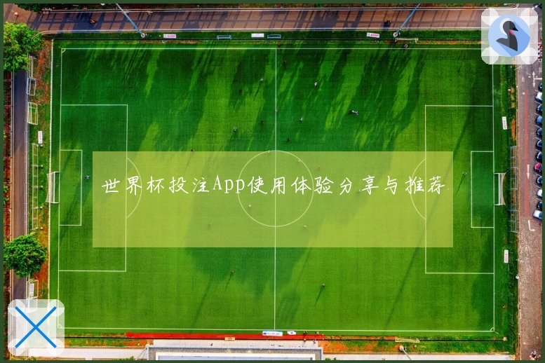 世界杯投注App使用体验分享与推荐
