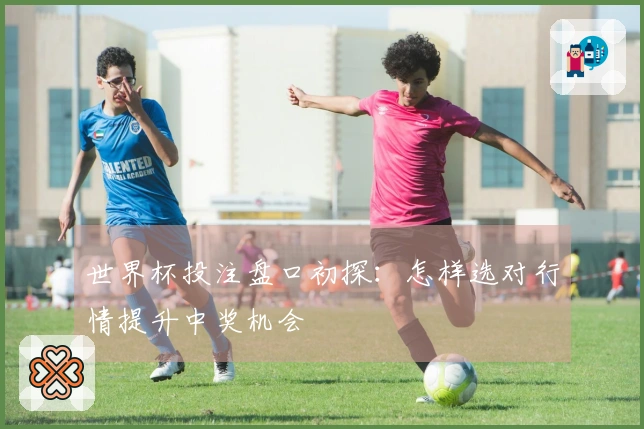 世界杯投注盘口初探：怎样选对行情提升中奖机会