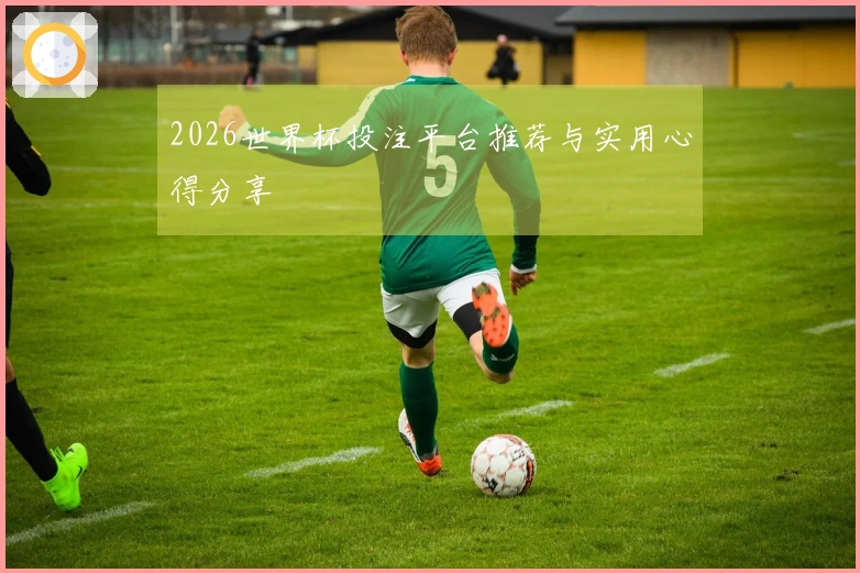 2026世界杯投注平台推荐与实用心得分享