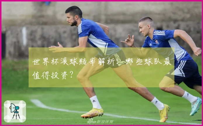 世界杯滚球赔率解析：哪些球队最值得投资？