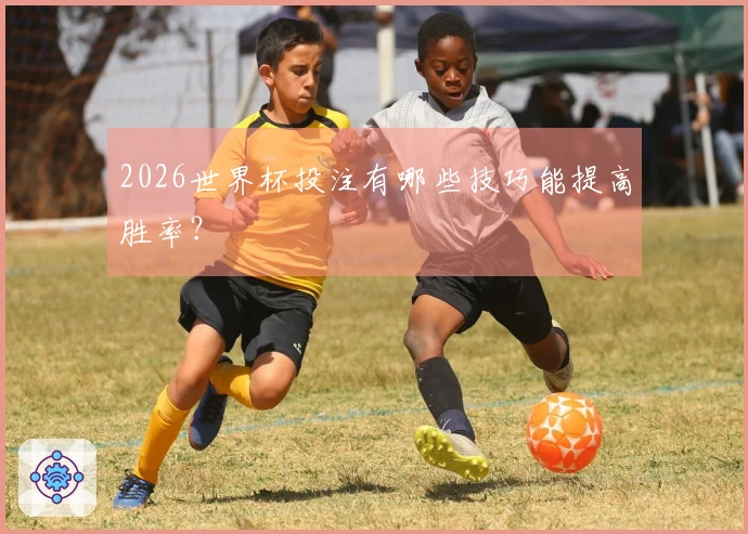 2026世界杯投注有哪些技巧能提高胜率？