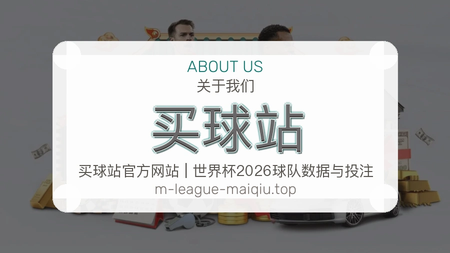 关于 买球站 团队与服务